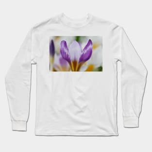 Crocus sieberi  &#39;Hubert Edelsten&#39;   AGM Long Sleeve T-Shirt